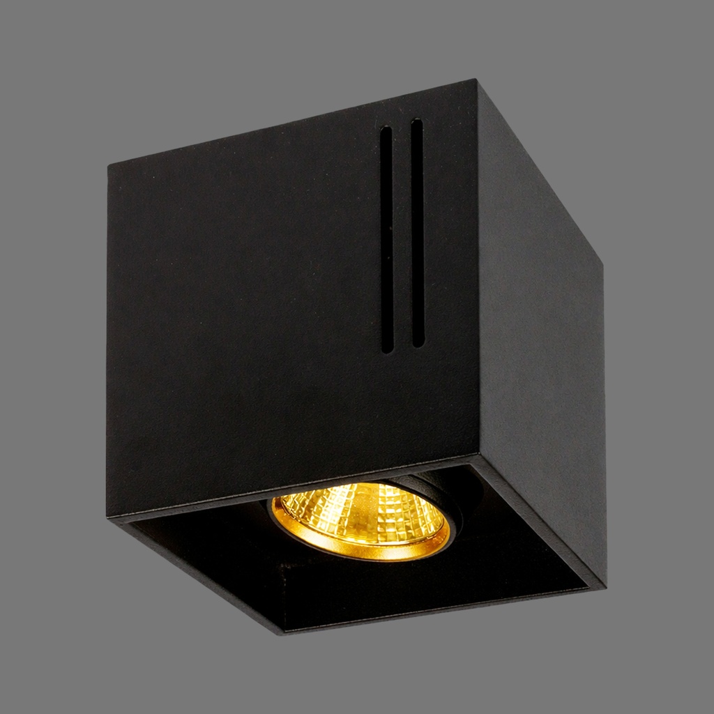 SPLENDOR OPTIC IN GOLD