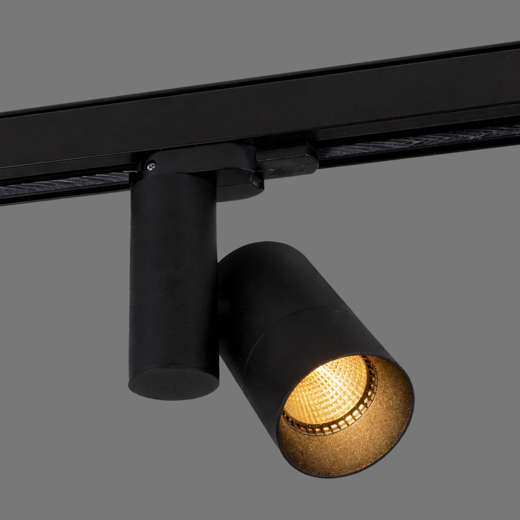 SPLENDOR OPTIC IN GOLD