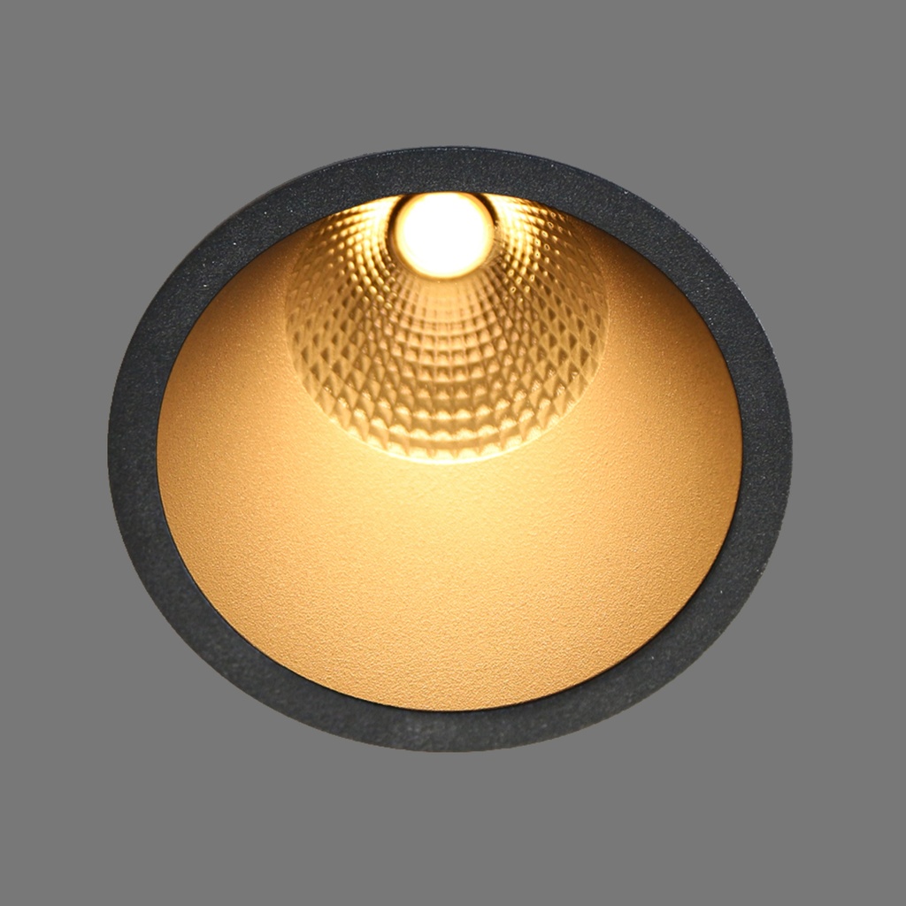 SPLENDOR OPTIC IN GOLD