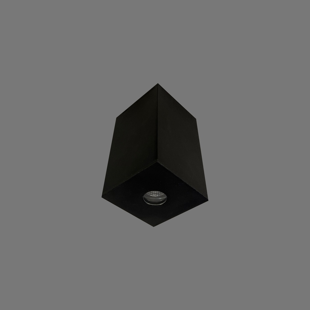 LU-DO CEILING